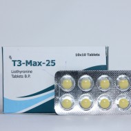 T3-Max-25